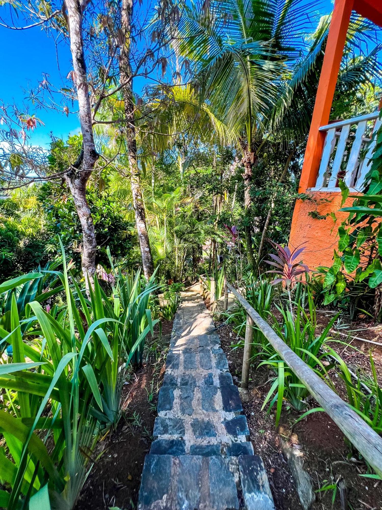 Hostel Zen - Casa Na Floresta Итакаре Экстерьер фото