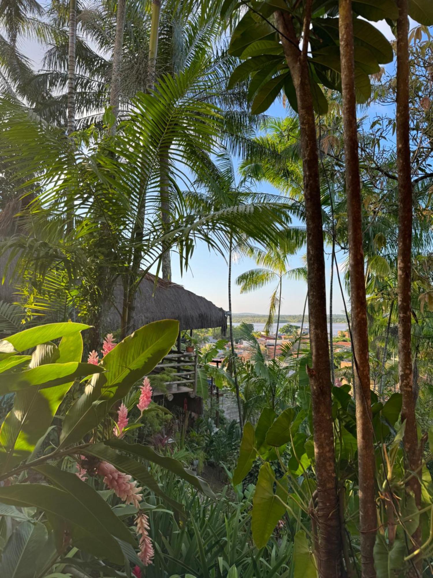 Hostel Zen - Casa Na Floresta Итакаре Экстерьер фото