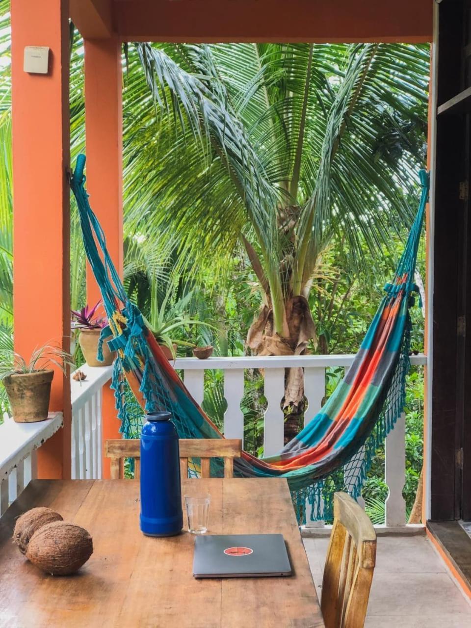 Hostel Zen - Casa Na Floresta Итакаре Экстерьер фото